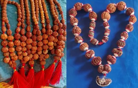बेळगावमध्ये भव्य रुद्राक्ष प्रदर्शन-विक्री Grand Rudraksha exhibition and sale in Belgaum