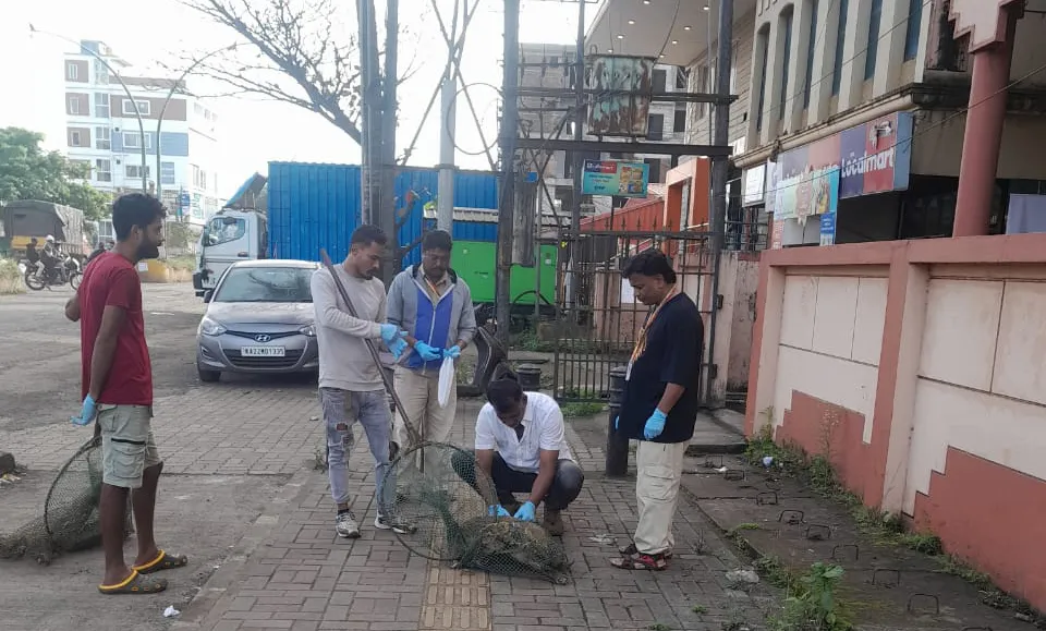 दोन दिवसात शहर परिसरातील 41 कुत्र्यांचे लसीकरण 41 dogs vaccinated in city area in two days
