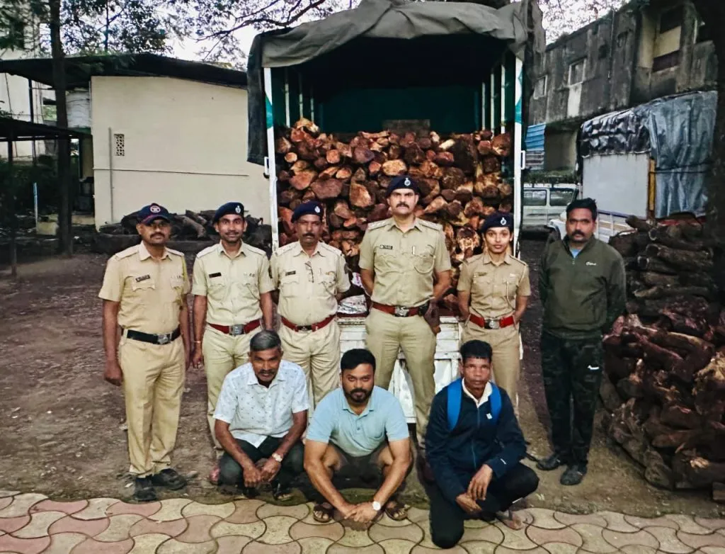 Satara : साताऱ्यात अवैध लाकूड वाहतुकीवर कारवाई ; चार आरोपींवर गुन्हे दाखल Timber transportation two vehicles Satara Case against four people