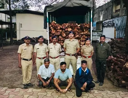 Timber transportation two vehicles Satara Case against four people