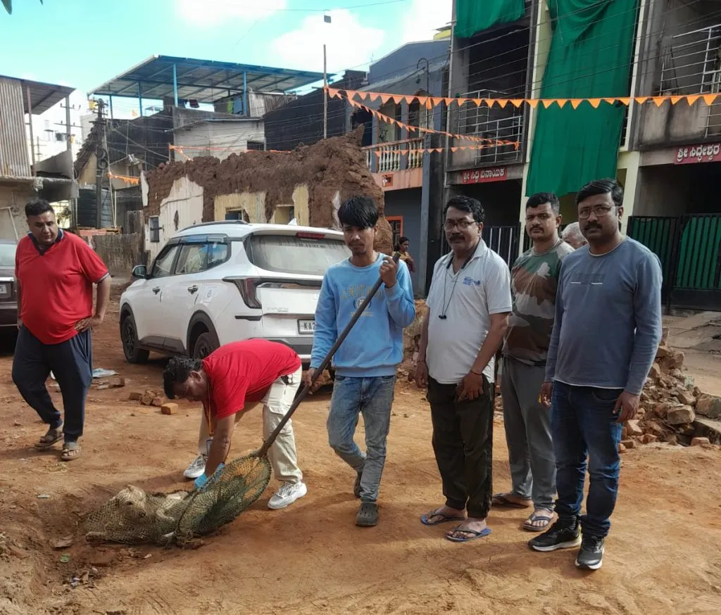 मंगळवारी 29 भटक्या कुत्र्यांना लसीकरण 29 stray dogs vaccinated on Tuesday