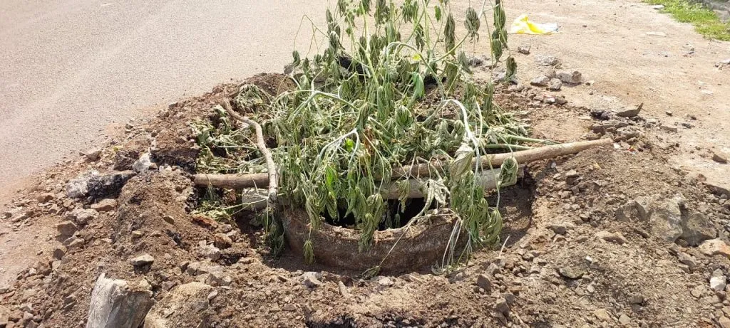 महात्मा फुले रोडवरील धोकादायक ड्रेनेज चेंबरवर झाकण घालण्याची मागणी Demand to cover the dangerous drainage chamber on Mahatma Phule Road