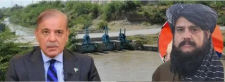 Taliban will also create a dilemma for Pakistan