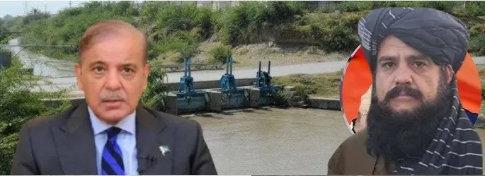 Taliban will also create a dilemma for Pakistan