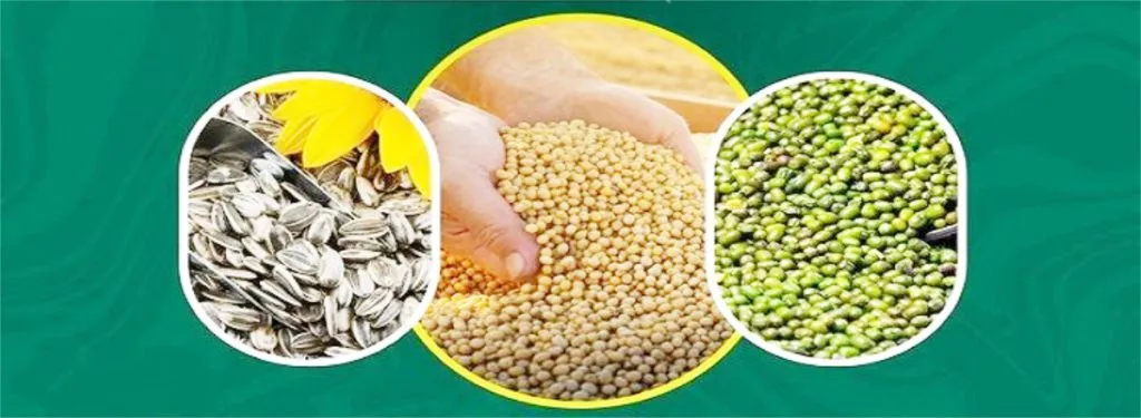 Purchase of soybean, moong, sunflower seeds at support rate