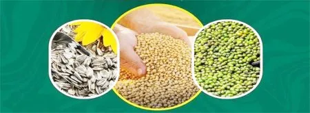 Purchase of soybean, moong, sunflower seeds at support rate