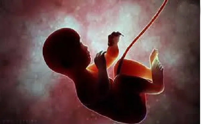 अपत्यासाठी नाही मातेची आवश्यकता A mother is not needed for a child.