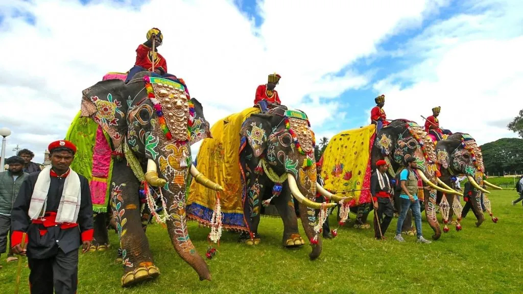म्हैसुरात आज जम्बो सवारी Jumbo ride in Mysore today