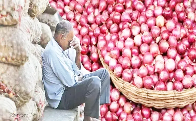 कांदा भाव घसरल्याने शेतकऱ्यांच्या डोळ्यात पाणी Farmers' eyes tear up as onion prices fall