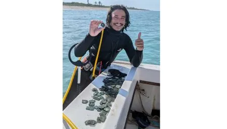 Lost 300-year-old gold coins