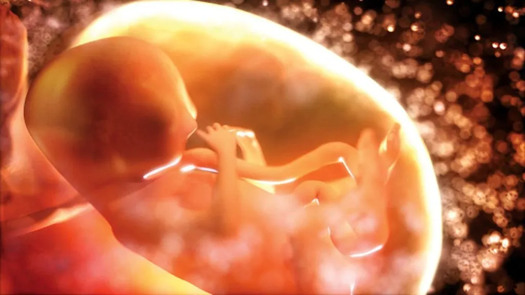 गर्भातूनच सुरू होतोय प्रदूषणाचा खेळ The game of pollution starts from the womb itself.