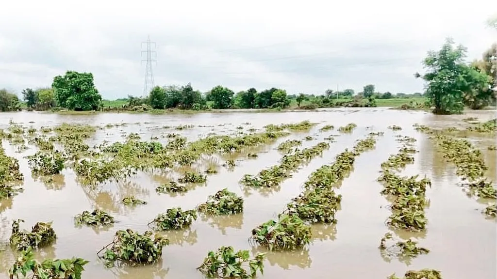The 'six months' of rain