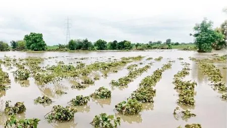 पावसाची ‘सहामाही’ The 'six months' of rain