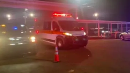 Four killed, 12 injured in shooting in America