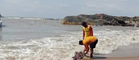 सेल्फीच्या नादात पर्यटकाचा समुद्रात बुडून मृत्यू Tourist drowns in sea while taking selfie