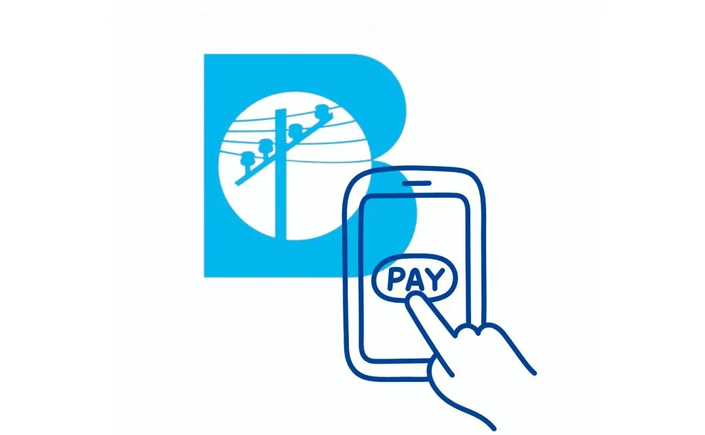 Online services of electricity supply companies will be closed on 24th and 25th