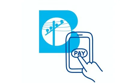 Online services of electricity supply companies will be closed on 24th and 25th