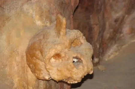 Ancient humans had horns.