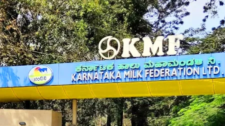 Record turnover from KMF