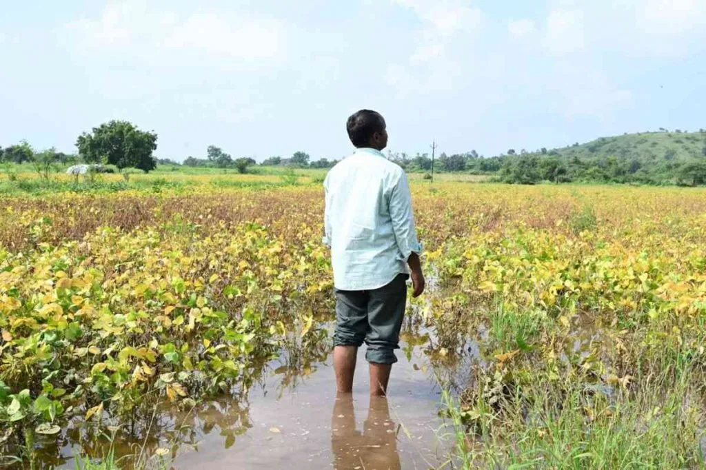 Black Diwali for farmers in the state
