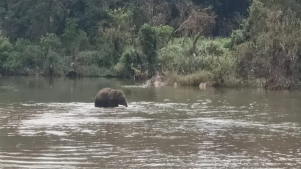 व्हाया तेरेखोल नदी ओंकार वाफोलीत