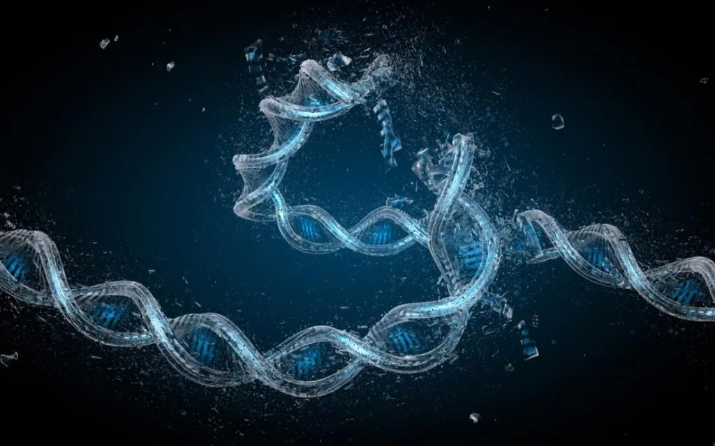 जगातील सर्वात घातक विष The most deadly poison in the world