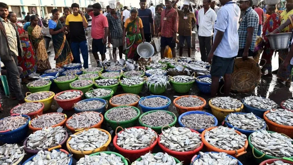 मत्स्योत्पादनातील मोठ्या संधी Big opportunities in fisheries