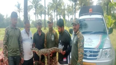 सोनुर्ली येथे चार फूटी मगर वनविभागाकडून जेरबंद