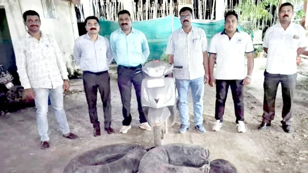 action the State Excise Department in Solapur