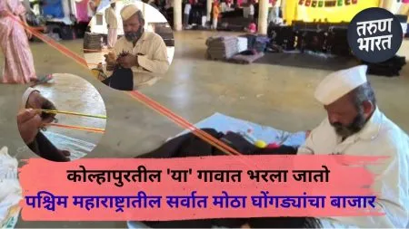 कोल्हापुरतील ‘या’ गावात भरला जातो पश्चिम महाराष्ट्रातील सर्वात मोठा घोंगड्यांचा बाजार ; होते कोट्यवधींची उलाढाल The blanket market is filled with people in Pattanakdoli, Kolhapur.