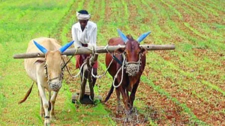 There is still no funds in the accounts of farmers affected by heavy rains