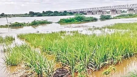 Problems in distributing relief funds to farmers in Solapur