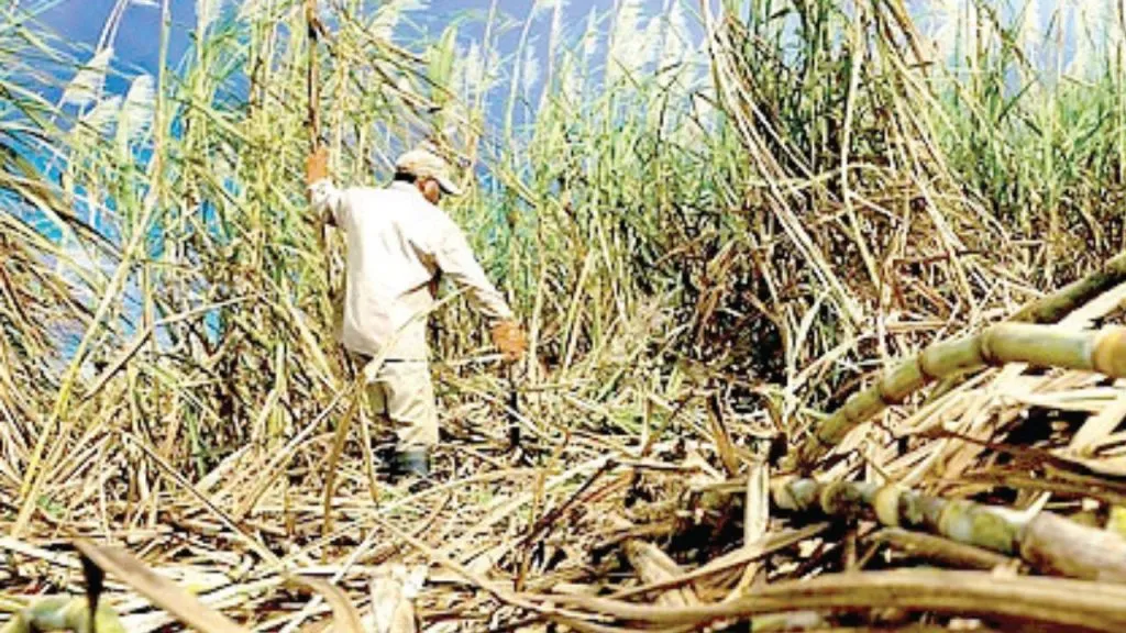 Protest continues third day of Ankush's protest demanding sugarcane price hike