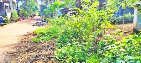 Trapped in a tangle of problems... Ambedkar Street