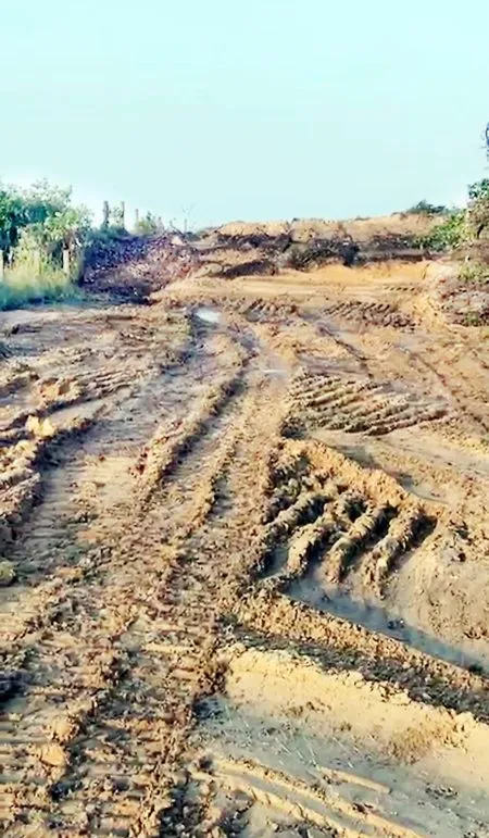 BJP supports the Alemao family's gangsterism