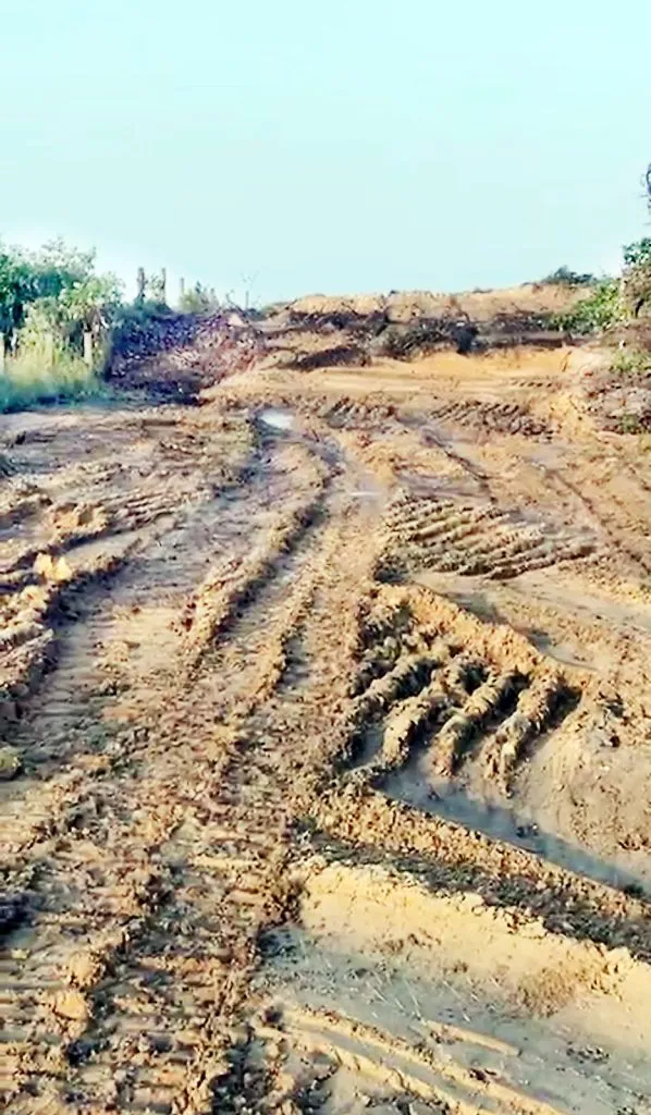 BJP supports the Alemao family's gangsterism