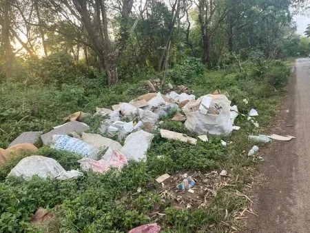 Anyone who comes and throws garbage away