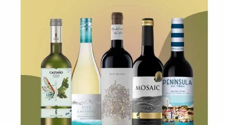 Making alcohol with the help of volcanic ash