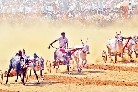 ‘हेलिकॅप्टर बैजा, ब्रेक फेल, ‘श्रीनाथ’ फॉर्च्युनरचे मानकरी 'Chopper Baija, Brake Failure, 'Srinath' Fortuner Awardee