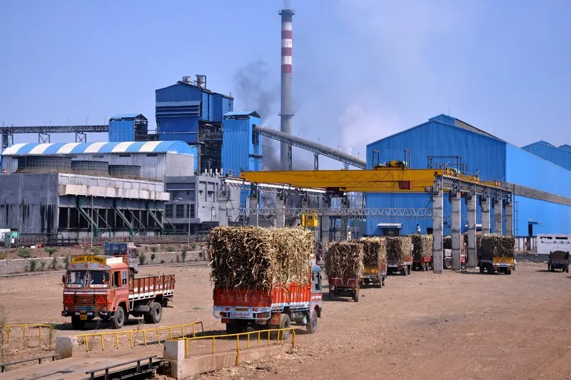 3,300 रु. ऊस दराविषयी सरकारचा अधिकृत आदेश जारी