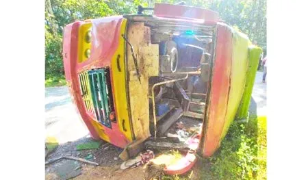 मजुरांची वाहतूक करणारा टेम्पो पलटी : 16 जखमी Tempo transporting laborers overturns: 16 injured