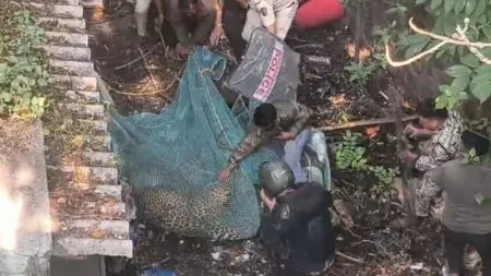 Leopard scare in Kolhapur, fear among citizens