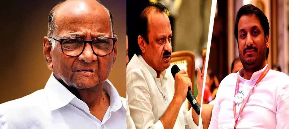 भावना नव्हे, जबाबदारी : पवारांचा संदेश