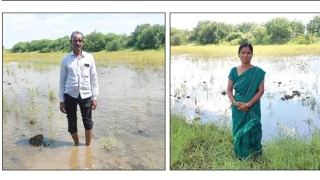 Farmers in Sonyal village suffer heavy losses due to heavy rains