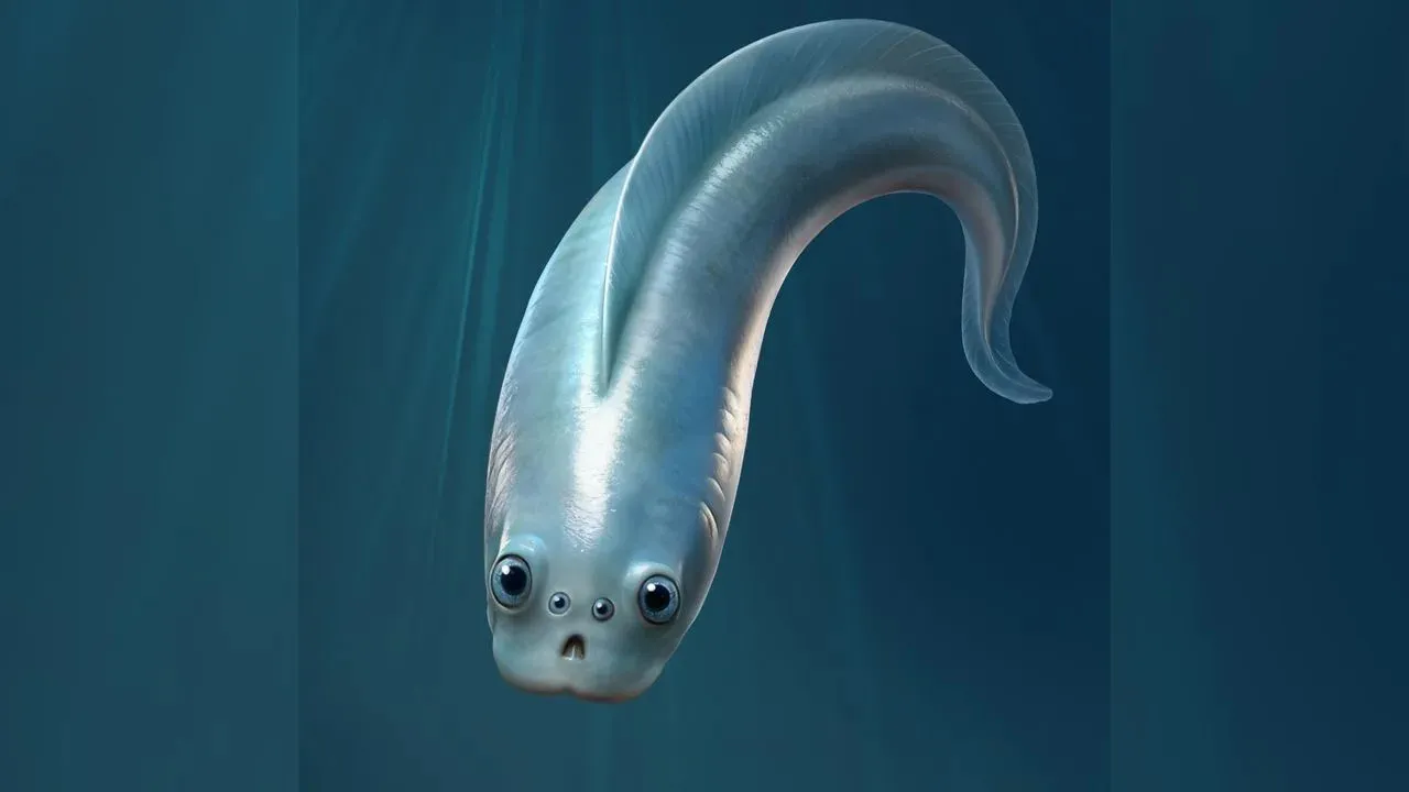 4 डोळे असणारा मासा खरा पूर्वज