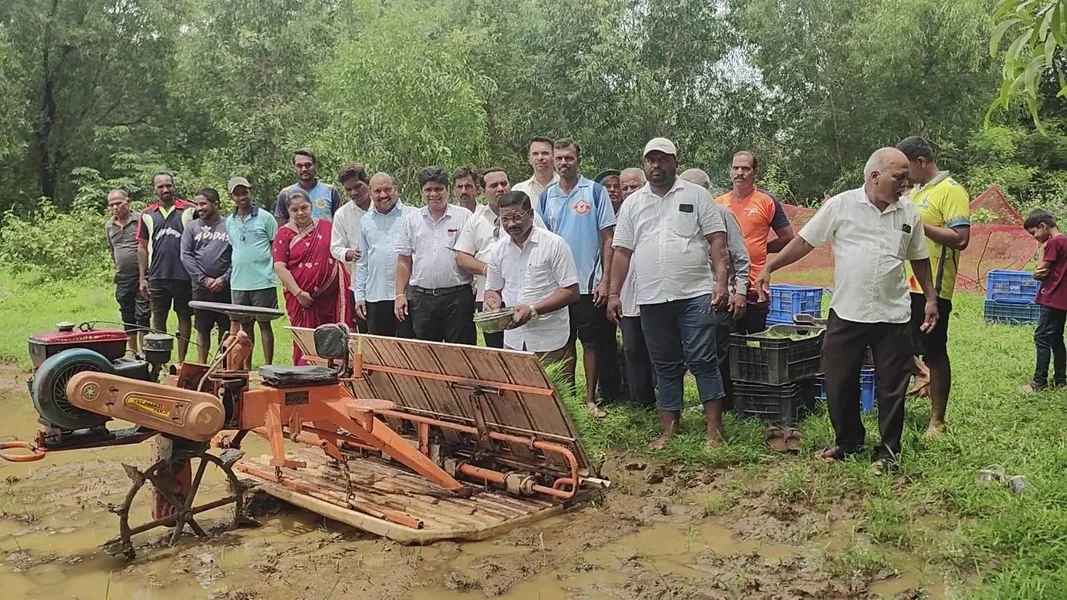 यांत्रिकी पद्धतीने भात लागवड केल्यास उत्पादनात वाढ : दादा साईल