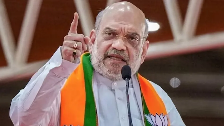अमित शहा यांचा 'मृत अर्थव्यवस्था' म्हणणाऱ्यांवर टीका